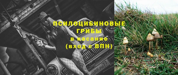 СК Володарск