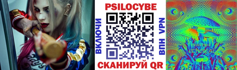 Псилоцибиновые грибы Psilocybine cubensis  Канск 